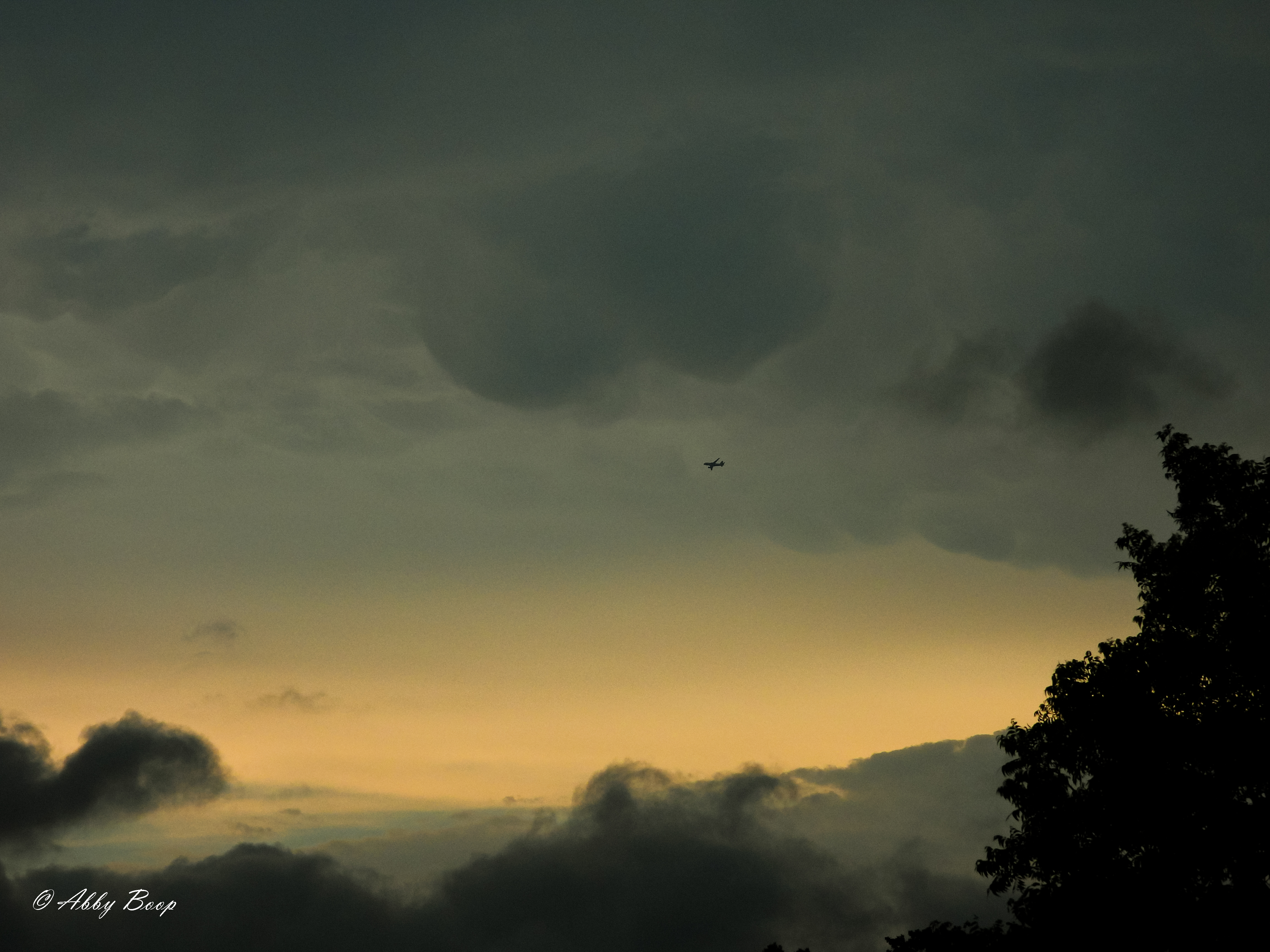 Flying Through the Storm