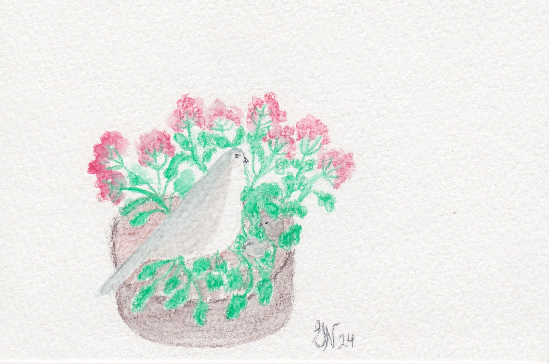 Bird Nest 2