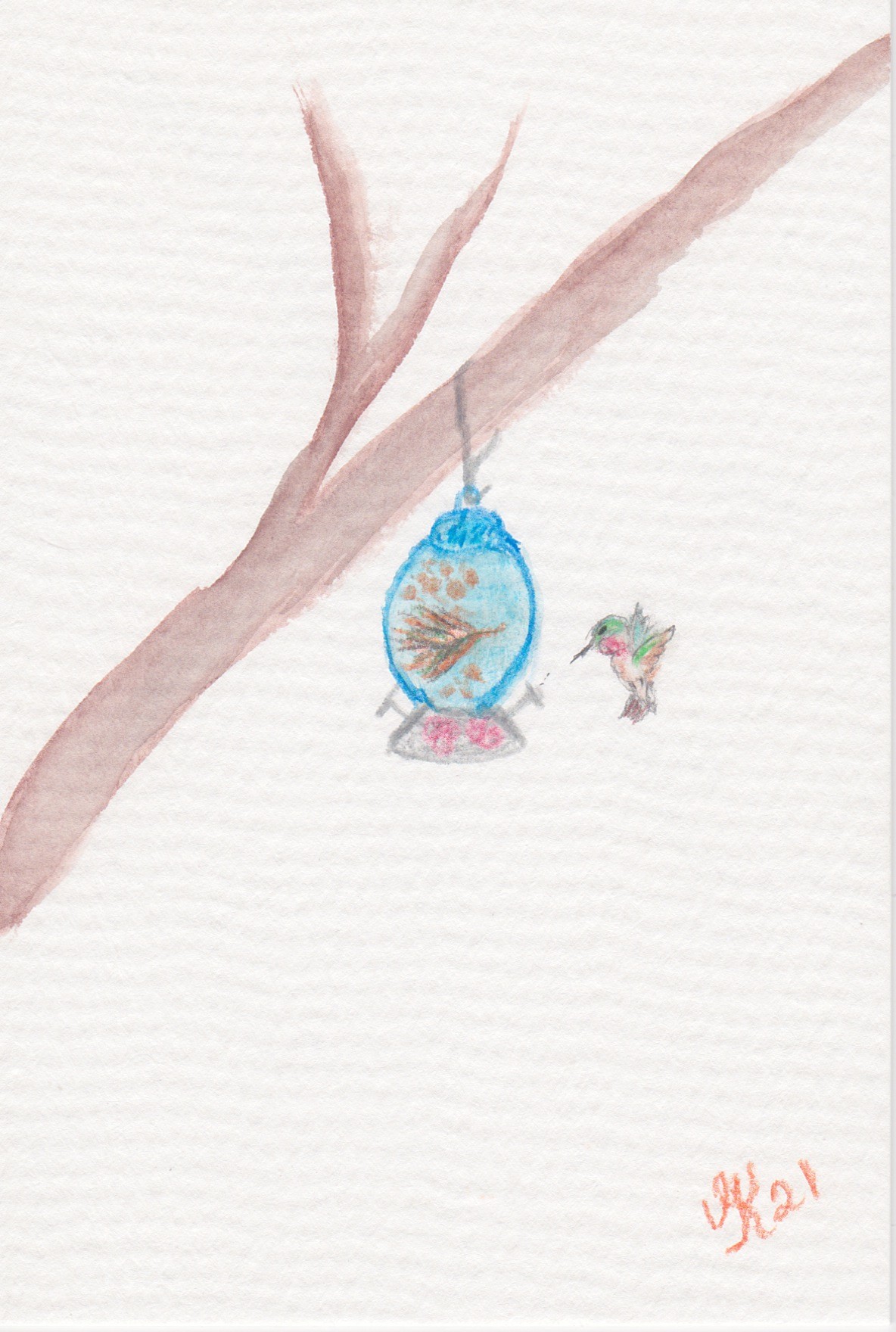 Hummingbird 3