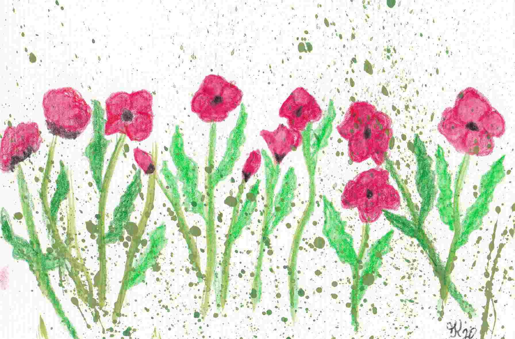 Poppies