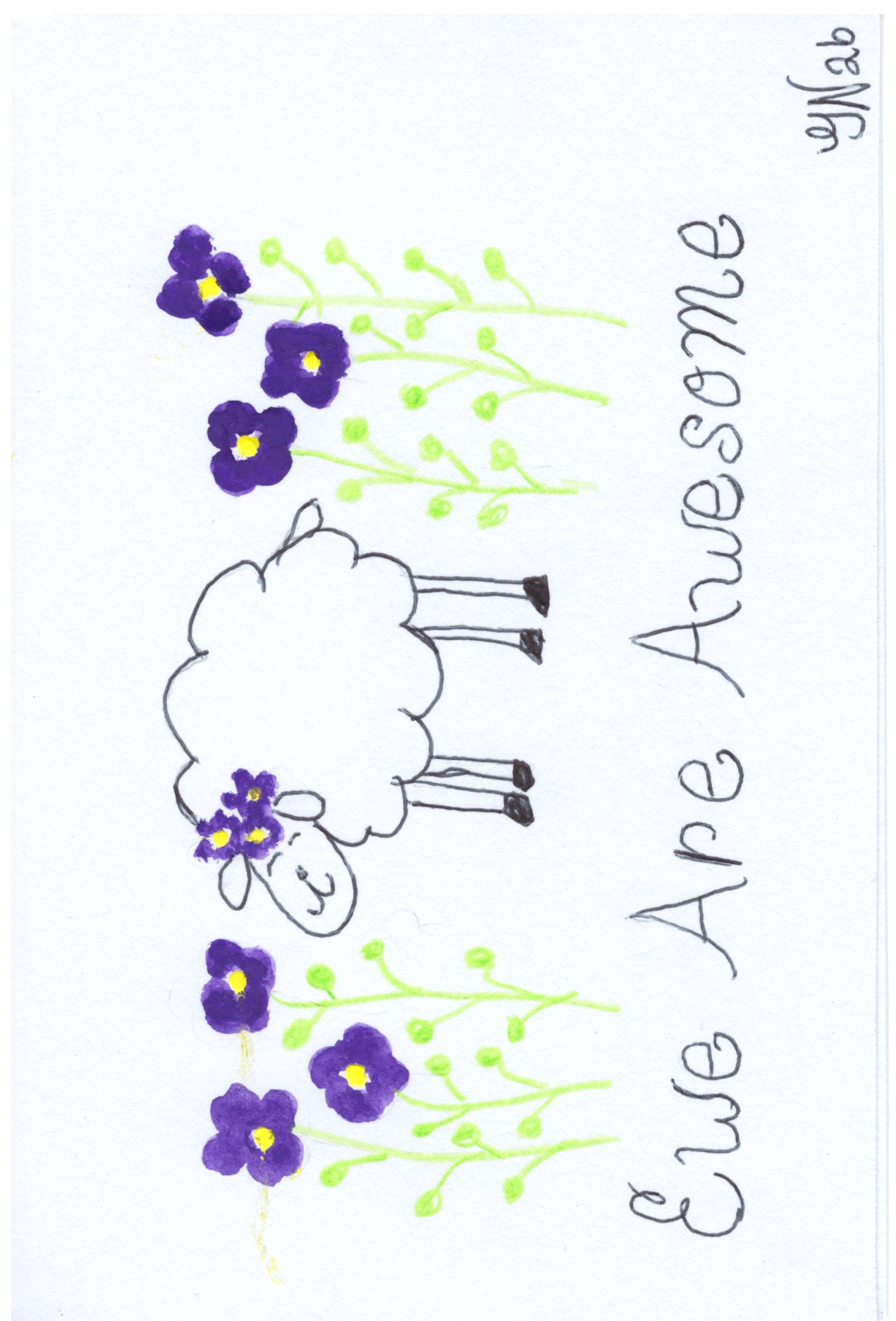 Ewe